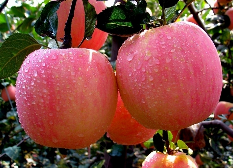 QQ截图20150513093840.png QQ截图20150513093840.png