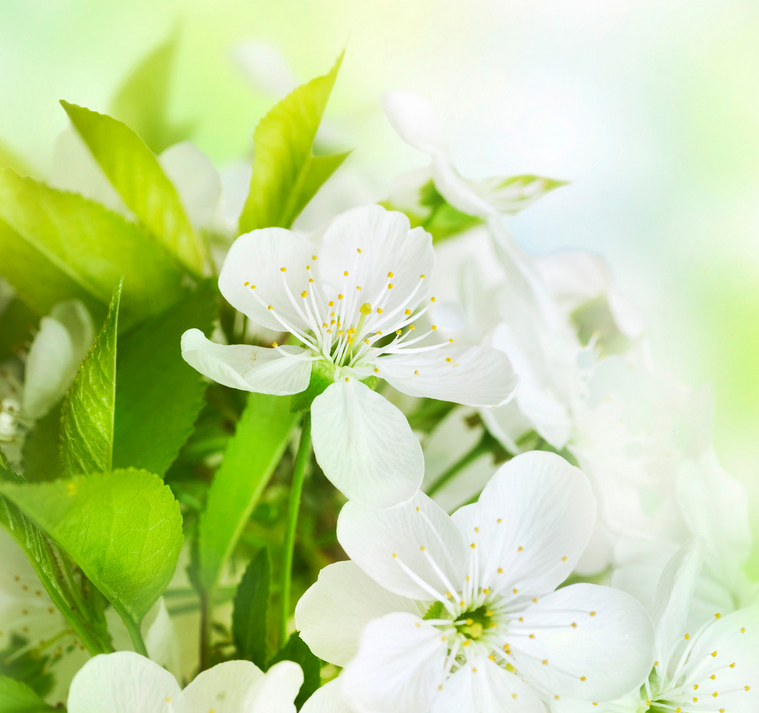 QQ截图20150513104418.png QQ截图20150513104418.png