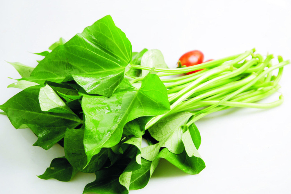 QQ截图20150509115030.png QQ截图20150509115030.png