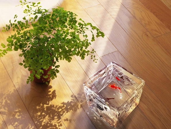 QQ截图20150514160631.png QQ截图20150514160631.png