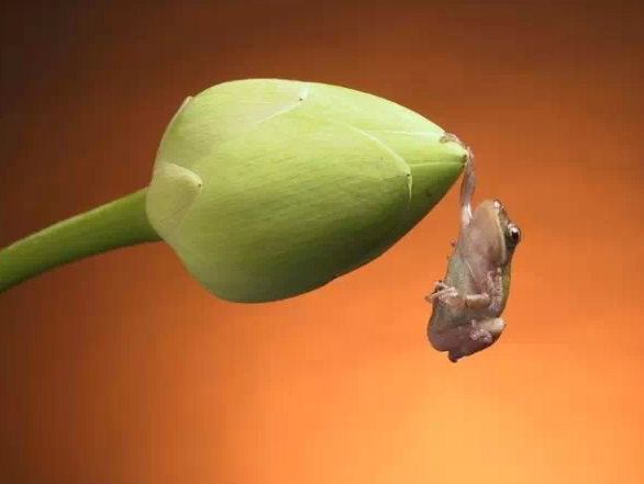 QQ截图20150518114317.png QQ截图20150518114317.png