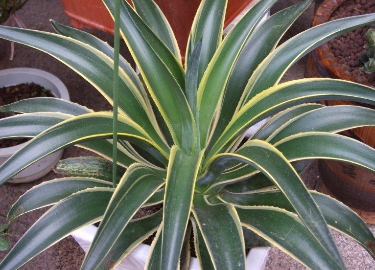 QQ截图20150521112512.png QQ截图20150521112512.png