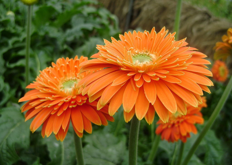 QQ截图20150521112526.png QQ截图20150521112526.png