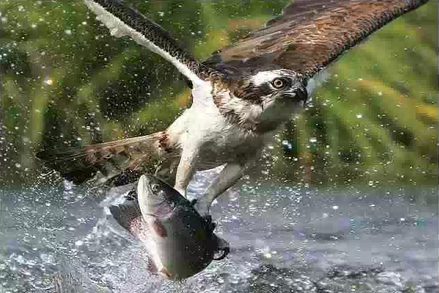 QQ截图20150518113446.png QQ截图20150518113446.png